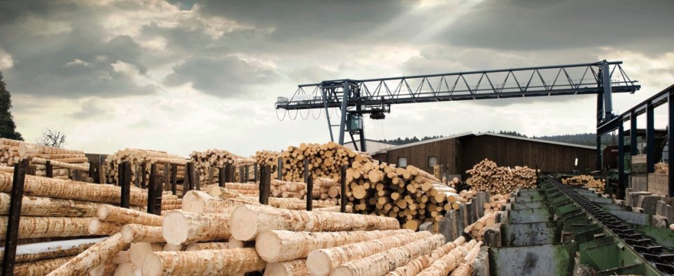 Green Gold Label (GGL) sertifikaat