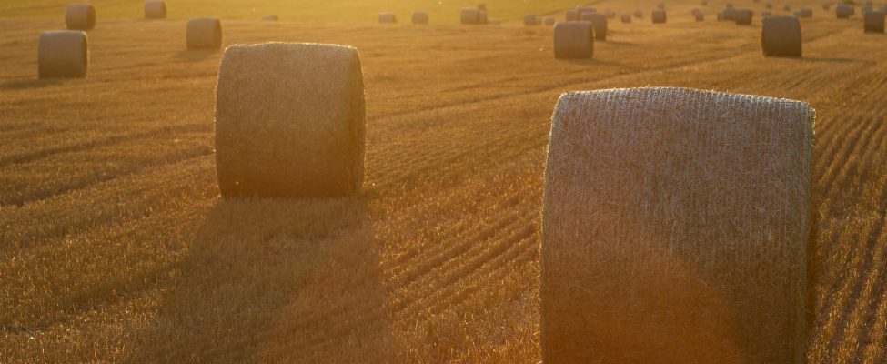 SURE verifikācijas shēma