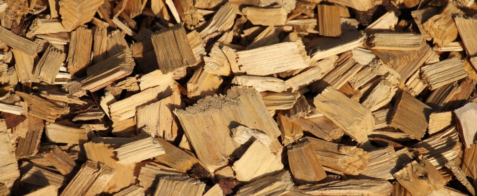 Jätkusuutlike ressursside kontrollimise skeem (SURE-EU)