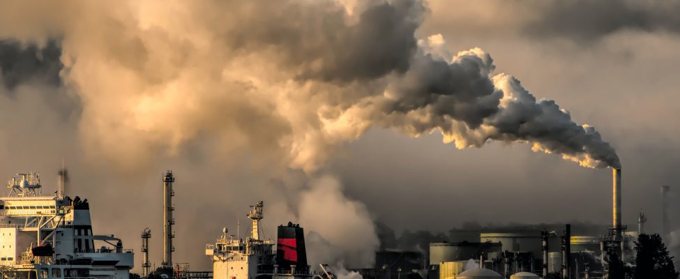 Kuldstandard – Gold Standard(GS)